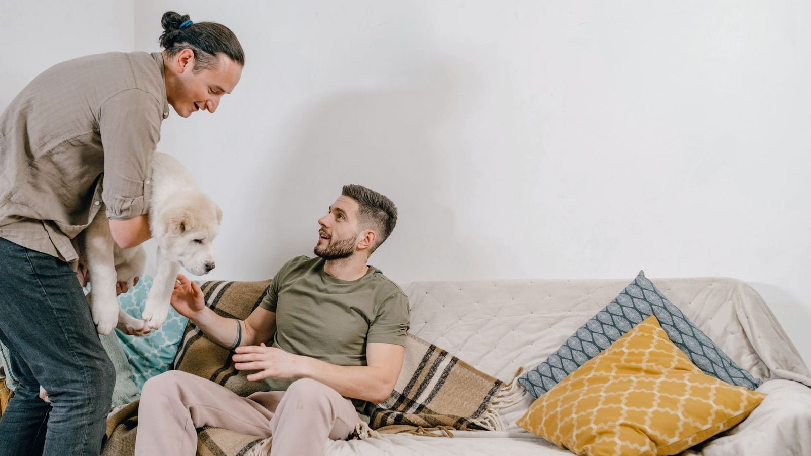 How to Fix Puppy Clutter in Shared Spaces — fixing puppy clutter in shared spaces