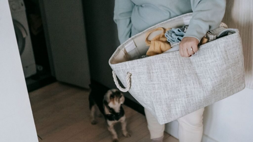How to Create a Puppy Laundry Routine That Prevents Odors — how to create a puppy laundry routine