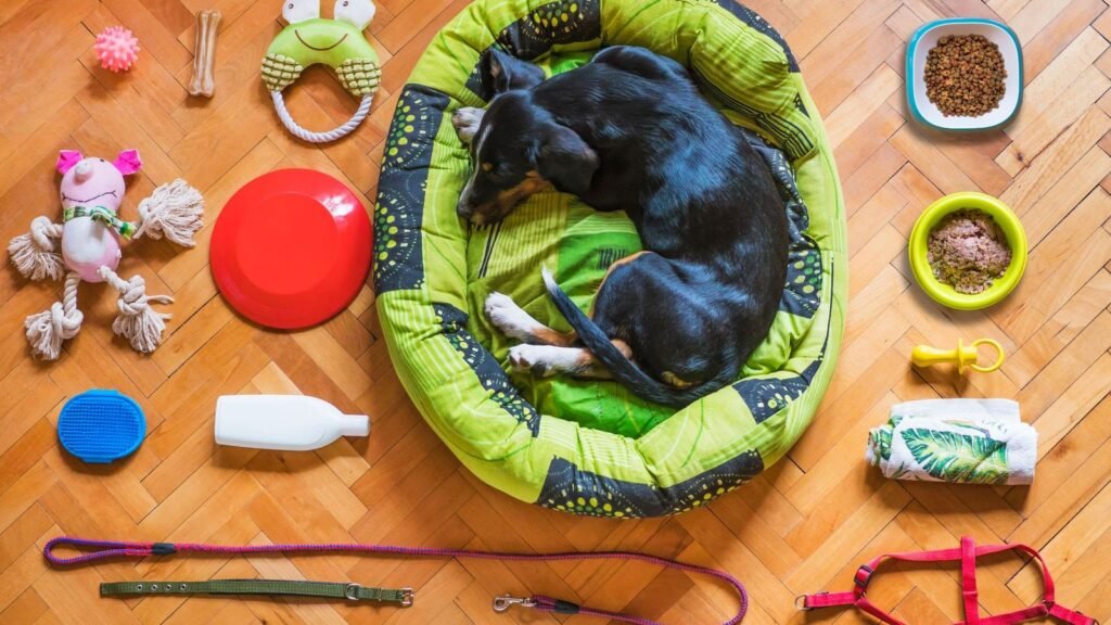 Puppy Gear Storage for First Floor Apartments — puppy gear storage for first floor apartments