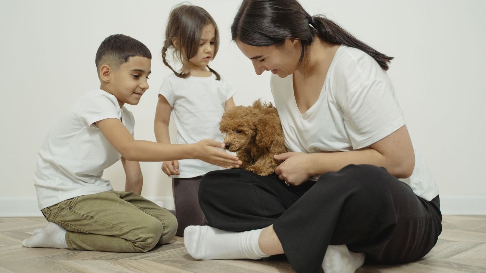 Puppy Organization Tips for Families with Kids — puppy organization tips for families with kids
