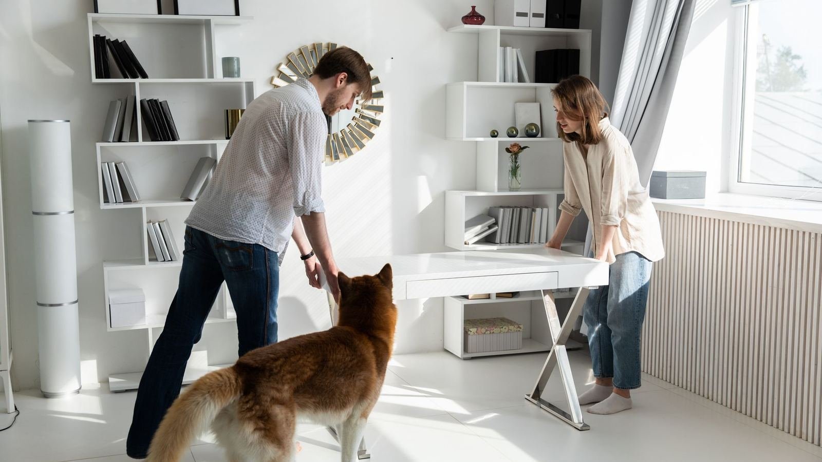 Best Puppy Gear Organizer for Living Rooms — best puppy gear organizer for living rooms