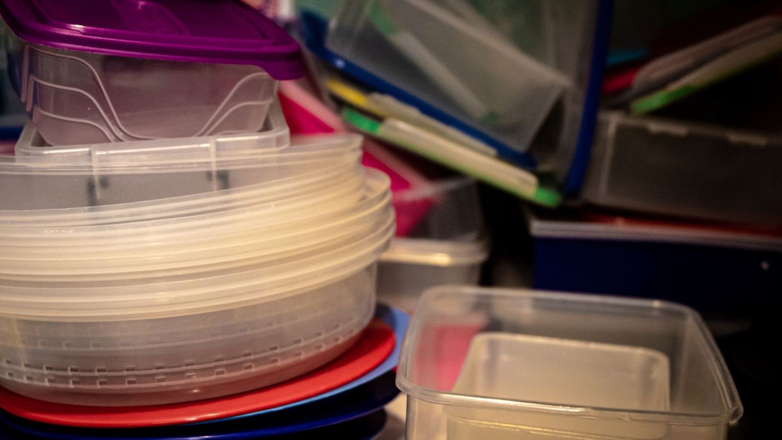 Clear vs Opaque Puppy Storage Containers — clear vs opaque puppy storage containers