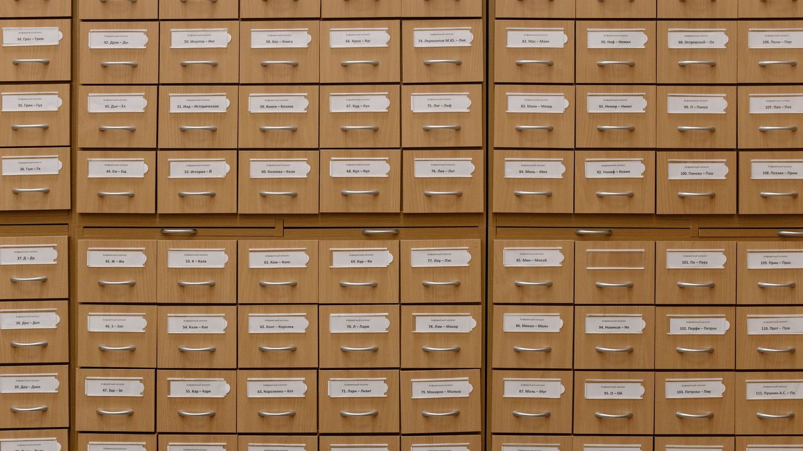 Drawer Storage vs Bin Storage for Puppies — drawer storage vs bin storage puppies