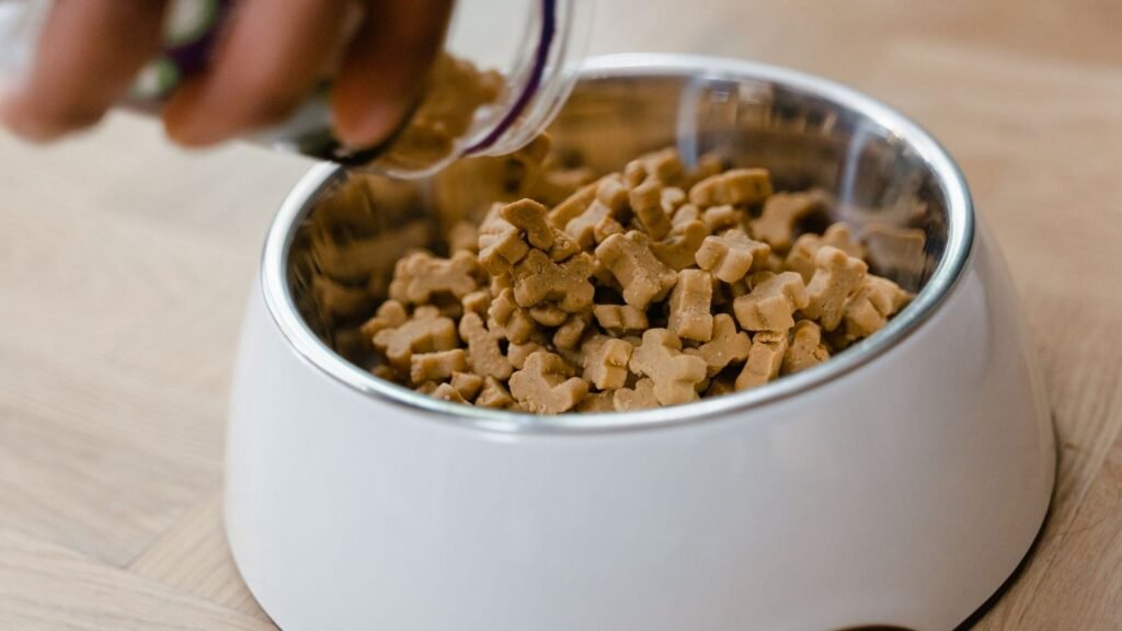 How to Store Puppy Treats for Training Without Kitchen — how to store puppy treats for training