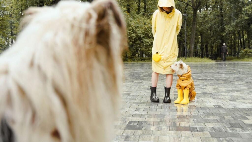 Puppy Gear Organization for Rainy Days — puppy gear organization for rainy days